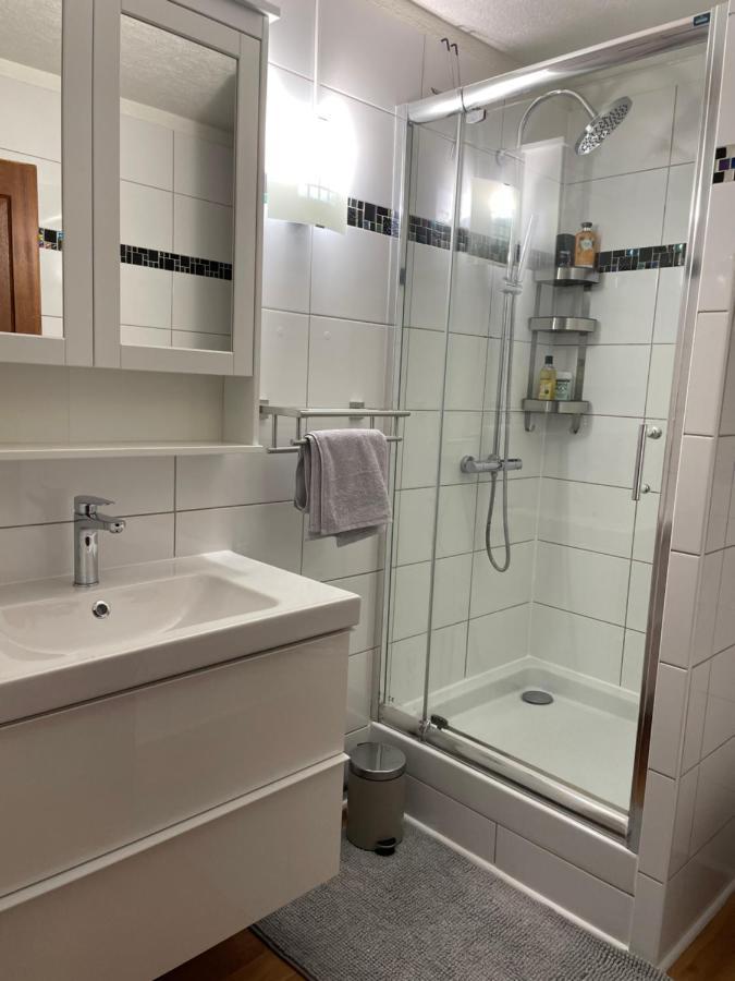 Appartement La Petite Venise Colmar Eksteriør bilde